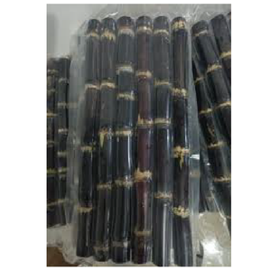 Caña de azúcar congelada y fresca de Global Mekong Group - Product Image 6