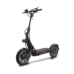 Livraison gratuite Duaaltronns Cityy Electriccs Scooterrs (GEN2) Motorr 3984W BLDC Duaal-Huub - Product Image 6