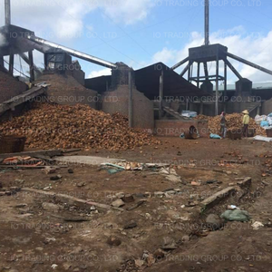 Charbon de noix de coco (morceaux brisés) pour la production de briquettes et de charbon à chicha, sacs de 10 à 20 kg, origine Vietnam - Product Image 5