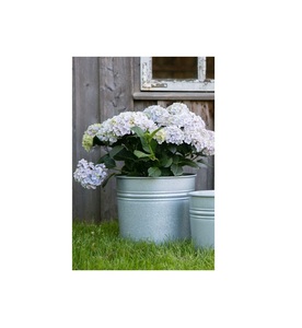 Seau de jardinière galvanisé fonctionnel avec poignée pour les installations de jardin de ferme ou les arrangements verts d'intérieur rustiques - Product Image 6