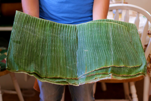 Vente en gros de feuilles de bananier congelées de qualité supérieure pour les chefs et les restaurants dans l'emballage de la cuisine fusion asiatique et l'amélioration des saveurs - Product Image 5