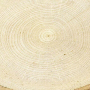 Ensemble d'assiettes en bois massif sur mesure avec bols élégants pour mariages, design rond, haute qualité, standard à vendre - Product Image 5