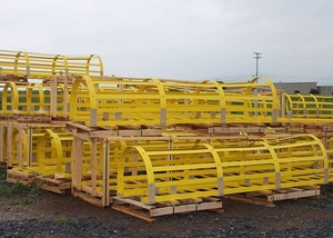 Échelle d'accès industrielle pour toiture avec cage de sécurité, échelle-cage pour plateformes d'entretien, usine au Vietnam, OEM ODM Export - Product Image 2