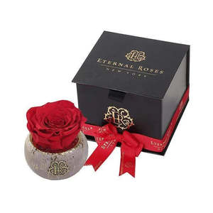 Mini for Tiffany Luxury Rose Preserved Natural Roses for Valentine's Day and Mother's Day Gifts - Product Image 1