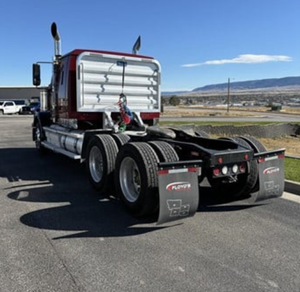 Precio de subasta para seminuevo 2019 WESTAN STA 4900 FA - Product Image 6