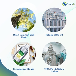 Huile de galbanum 100% pure et naturelle en gros en vrac prix le plus bas emballage personnalisé - Product Image 4