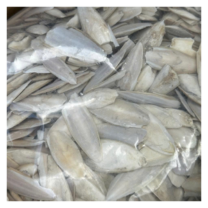 100% ก้างปลาธรรมชาติสำหรับนกและสัตว์เลื้อยคลาน, เนื้อสะอาด, ตากแห้ง, ไม่มีกลิ่น, มีหลายขนาดเพื่อการส่งออก - Product Image 2