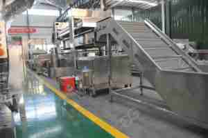 Machine de fabrication de Biscuits et de Biscuits à faible teneur en huile - Product Image 2