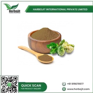 Poudre de fruit de noni biologique de qualité supérieure pour la santé et le bien-être Supplément du fournisseur indien pour l'exportation en vrac - Product Image 6