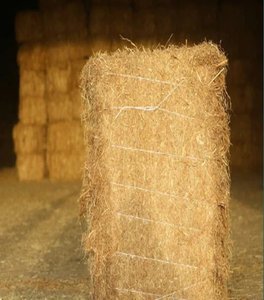 Alimento para Animales de Primera Calidad, Heno de Alfalfa, para Perros, Ganado, Caballos, Camellos, Ovejas, Secado Natural al Sol, Grado Alimenticio, 25 kg/bolsa - Product Image 1