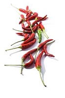 Exportateur indien de piments rouges frais entiers biologiques pour la cuisine domestique et l'usage commercial à un prix raisonnable