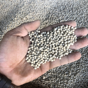 Pimienta blanca seca vietnamita al mejor precio al por mayor lista para exportación tipo de procesamiento crudo especias y hierbas individuales - Product Image 6