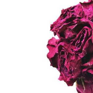 <b>Dried</b> Rose Red <b>Flowers</b> Natural Organic Red <b>Dried</b> Rose <b>Flowers</b> Grade A1 25 Kg Bags Export From Pakistan - Product Image 3