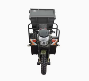 Nouveau Tricycle de Cargaison à Trois Roues Robuste avec Moteur 300 cc Refroidi par Eau Modèle 2026 - Product Image 6