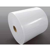 Feuille d'extrusion en rouleau pour plateau plastique PET/PS/PP, épaisseur 0,25-1,5 mm, largeur 500-730 mm, toutes couleurs, pour découpe et traitement de blisters et coques.