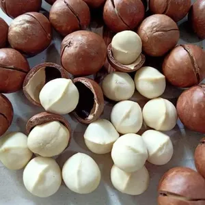 マカダミアナッツ乾燥ベトナムで最も競争力のある価格で高品質メアリー