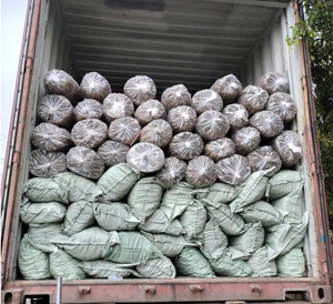 ฝาครอบร่มใบปาล์มทำด้วยมือจากเวียดนามทนทานสำหรับชายหาด - Product Image 6