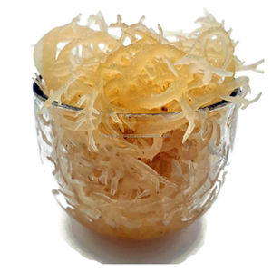 สาหร่ายไอริชแห้งดิบ สาหร่ายไอริชสีทองธรรมชาติ บริษัทแม่น้ำเมกง ผลิตภัณฑ์สาหร่ายเจล - Product Image 3