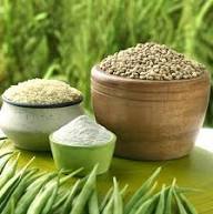 Gaur Gum Powder Estabilizador de agente espesante de grado industrial natural de alta calidad de India Suministro al por mayor a granel - Product Image 6