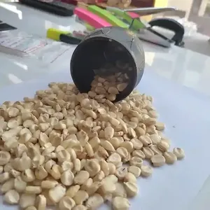 Maíz blanco sin OGM y maíz blanco para alimentación humana y animal Maíz blanco seco/Maíz - Product Image 4