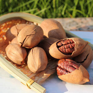 Nueces de pacana tostadas OEM | Mitades y piezas de pacana crujiente horneada | Snack natural saludable rico en proteínas y Omega-3 para exportación - Product Image 1