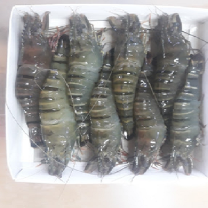 กุ้งทะเล/อาหารทะเล/กุ้งป่า/กุ้งสำหรับขาย - Product Image 4