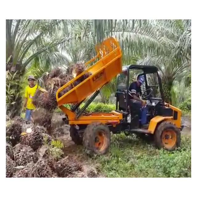 Prodotto caldo in corea che vende mini Dumper da pista autocaricante da giardino tecnologia innovativa che è senza problemi