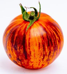 Semillas de tomate indeterminadas de alto rendimiento Rebel Starfighter Prime de polinización abierta Estilo fresco - Product Image 1