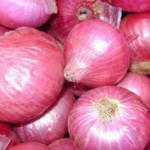 Top Selling Premium Quality New Crop Fresh Vegetables Fresh <b>Red</b> Onion 100kg Direct Factory Price From Germany - Product Image 4