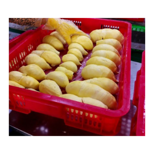 Durian Congelado Premium de Vietnam | Congelado Cuidadosamente con Métodos Avanzados para Conservar el Sabor e Ideal para Uso EN LA Industria Alimentaria - Product Image 1