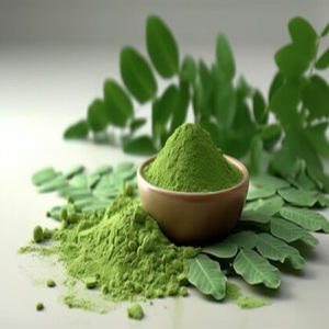 Polvo de extracto de hierbas de Moringa salvaje orgánico Grado a en precio al por mayor de La India - Product Image 3