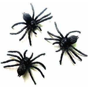 Cooplay พลาสติกสีดำ6ชิ้นจำลองสัตว์เลื้อยคลานแมลงปลอมแมงมุมของเล่นตลกสำหรับเล่นตลกน่ากลัวสมองปาร์ตี้ฮาโลวีน PP - Product Image 4