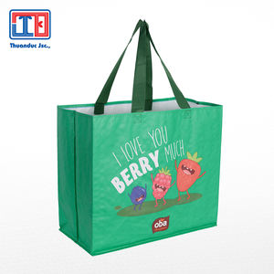 Bolsas de Compra Reutilizables Ecológicas de Tela No Tejida de PP de Fabricante Vietnamita con Calidad Superior y Precio Razonable Thuan Duc JSC - Product Image 4