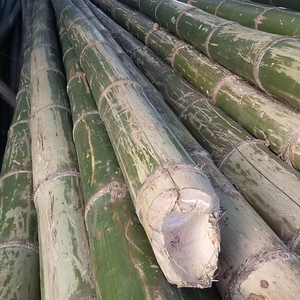 เสาไม้ไผ่ธรรมชาติที่ทนทานเสาเป็นมิตรต่อสิ่งแวดล้อมแบบเรียบง่ายสำหรับฟาร์มรั้วการจัดสวนและพืชสนับสนุนการขายส่งจากเวียดนาม - Product Image 1