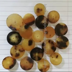 Botones de cuerno de búfalo natural Tipo de botón a presión Decoración Fabricante de ropa Botones de cuerno al por mayor por Falak World Export - Product Image 3