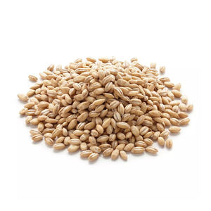 Malt énergique d'orge belge de qualité supérieure de haute qualité et ingrédients pour l'alimentation animale avec une durée de conservation de 2 ans - Product Image 2