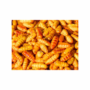 Suministro a granel de harina de pupa de gusano de seda a la venta, asegurando una nutrición óptima para la alimentación del ganado - Product Image 5