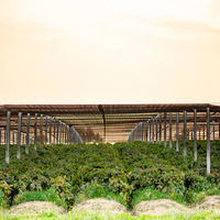 Nueva Nave Agrícola Personalizable con Certificación CE, Gallinero, Caballeriza, Ovejero, Estructura de Acero Prefabricada, Galvanizada en Caliente