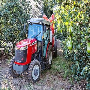 Oferta al por mayor Massey Ferguson MF 3300 Series Tractor Calidad Premium Entrega rápida Compre en línea Motor fuerte y duradero Perfecto - Product Image 5