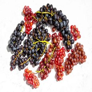 <b>Fresh</b> Red Globe Grapes for Sale Red Globe Grapes Yunnan Red Grape - Product Image 5