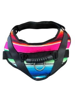 Arnés y Collar para Perro - Ligero, Deportivo, de Poliéster y Lona de Algodón, Diseño Moderno, Decorativo y Lavable - Product Image 5