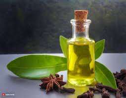 น้ำมันหอมระเหยกานพลูหน่อ100% ธรรมชาติสกัดจากอินเดีย - Product Image 6