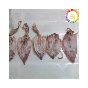 Calamar Seco de Origen Oceánico de Vietnam, Producido a partir de Calamar Entero, Ideal para Asar y Empaquetado Comercial de Mariscos - Product Image 4