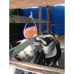 Nouveaux articles Blue Lotus Licks de sel longue durée Nourrir la pierre minérale pour vaches chevaux chèvres et moutons améliore la santé globale Cherish - Product Image 2