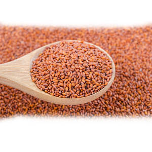 Cress | รายการทำอาหารสีเขียว | สมุนไพรกินได้ที่ปลูกในฟาร์ม - Product Image 5