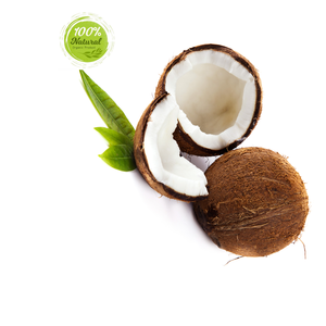 Style frais de noix de coco séchée lyophilisée avec une texture unique axée sur la partie coquille - Product Image 1