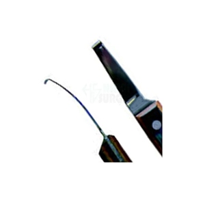 Cuchillo de Herrador para Pezuñas, Equipo Veterinario, Cuchillo para Pezuñas, GRAN VENTA, Diseño de Logotipo Personalizado, Hecho en Pakistán - Product Image 2