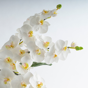 Elegante decoración de jardín interior del fabricante industrial, grandes plantas de suelo artificiales de interior Phalaenopsis Green Living - Product Image 2