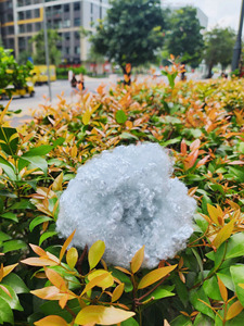 Fibre de polyester ignifuge conjuguée 6Dx32mm HCF Slick - Hollow - Product Image 6