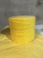 Usine indienne haute ténacité PP multifilament fil petit gros tomate ficelle presse fil filet de pêche ficelle polyester emballage